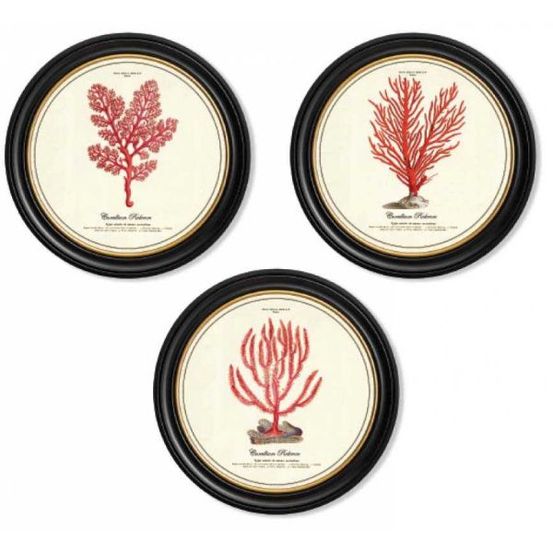 Assortiment de 3 cadres corail
