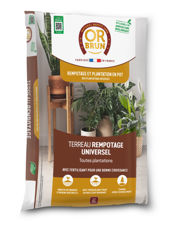 Or brun obrtrem6u -terreau rempotage universel- 6l -améliore la croissance