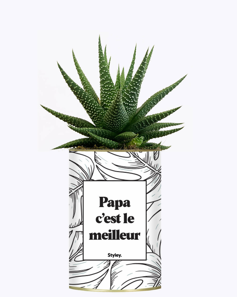 Idée cadeau - papa c'est le meilleur - cactus