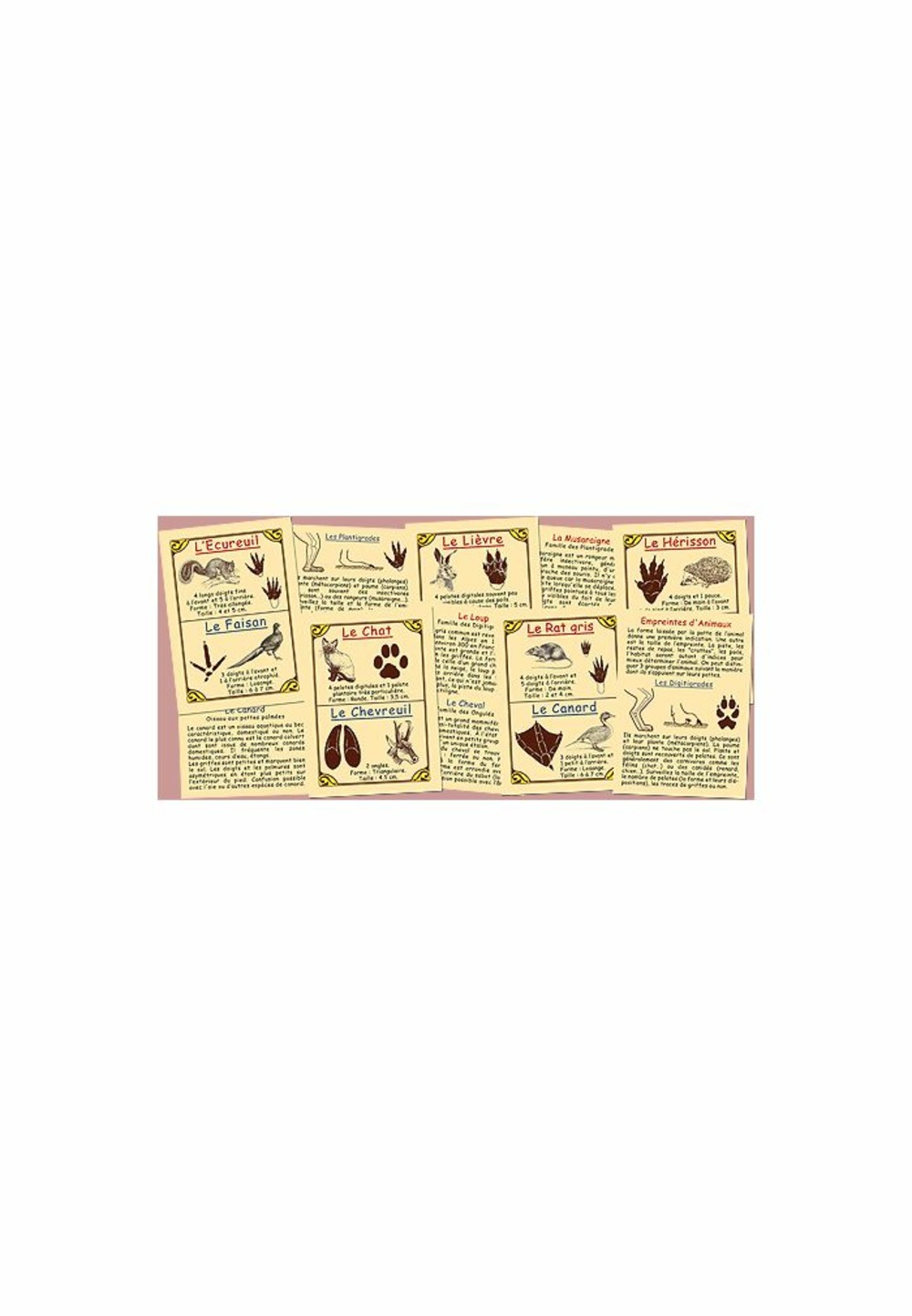 Empreintes d'animaux de nos campagnes