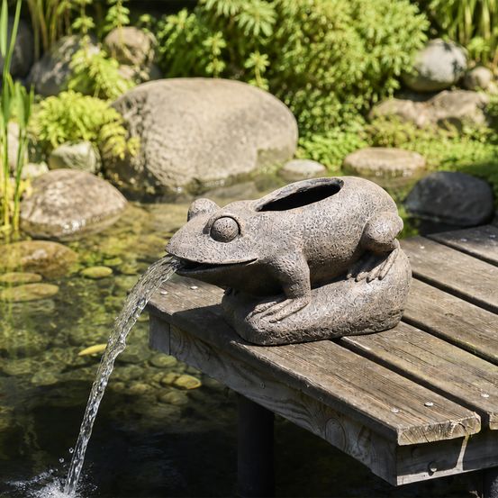Sujet cracheur grenouille l 45cm x h 26cm avec filtre intégré