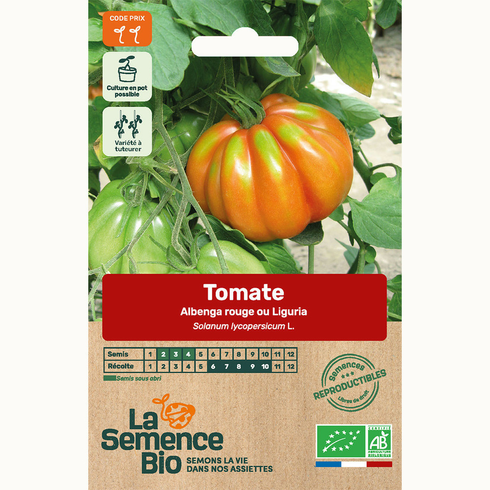 Tomate albenga rouge ou liguria - graines bio