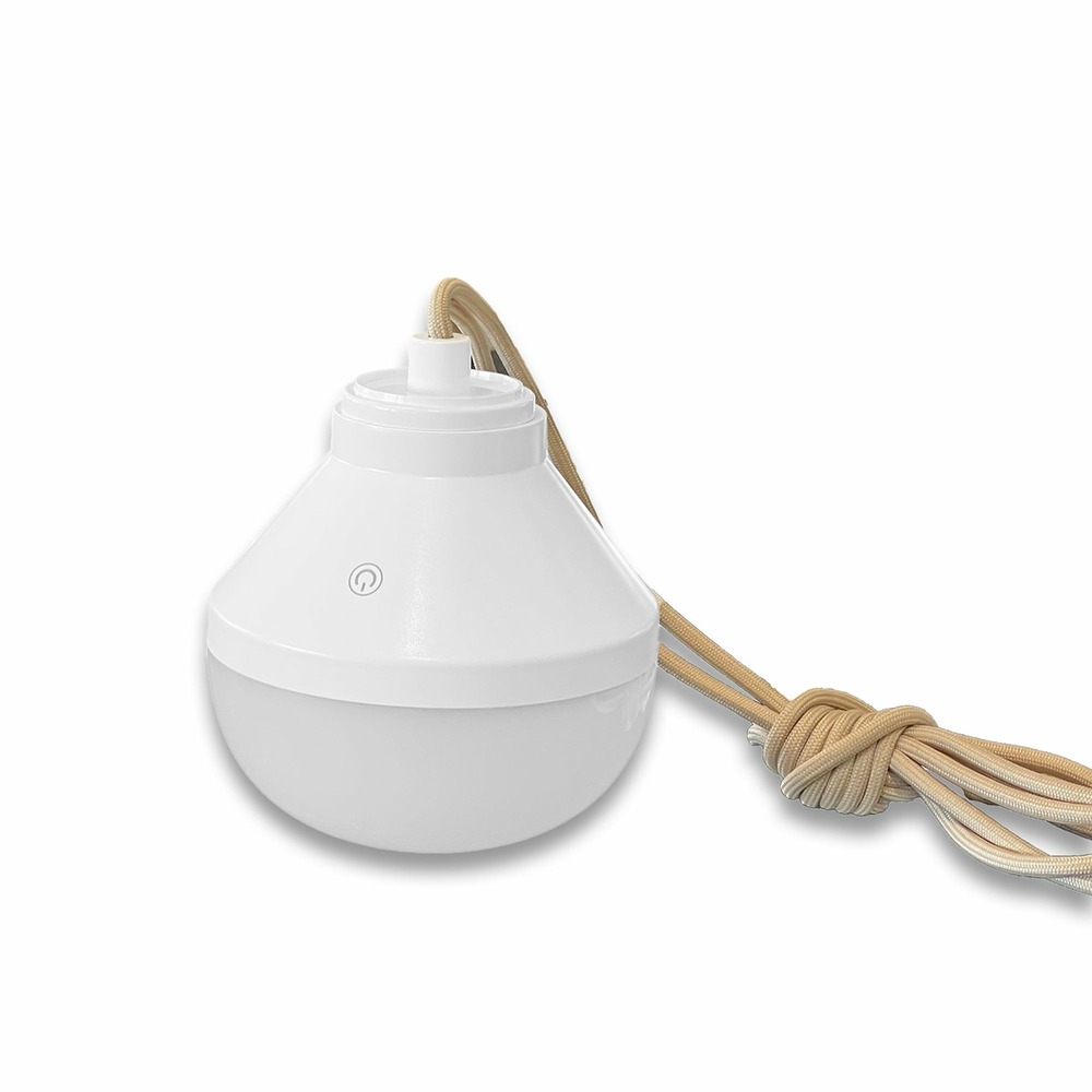 Ampoule led rechargeable lys blanc h 15cm