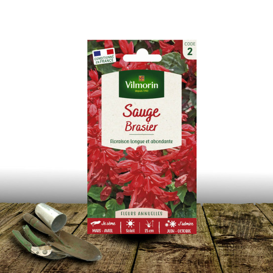 Graines de sauge rouge brasier - vilmorin sachet