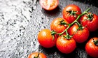 Sachet de graines de tomates premio - sachet de 0,1 gramme - petite entreprise française - made in france
