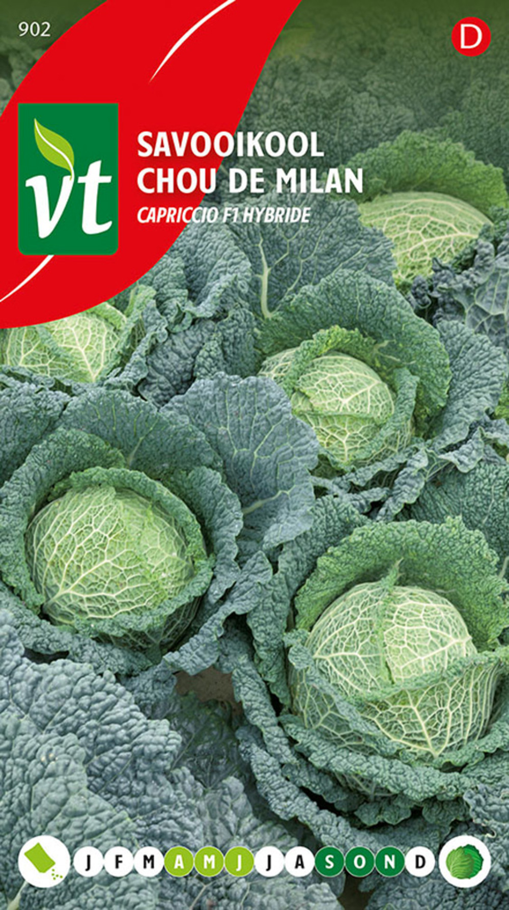 Chou de milan capriccio f1 hybride - ca. 0,3 gr (livraison gratuite)