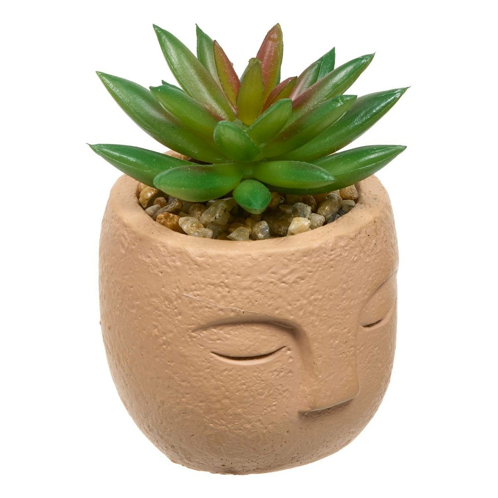 Plante artificielle teri 9 cm avec pot visage