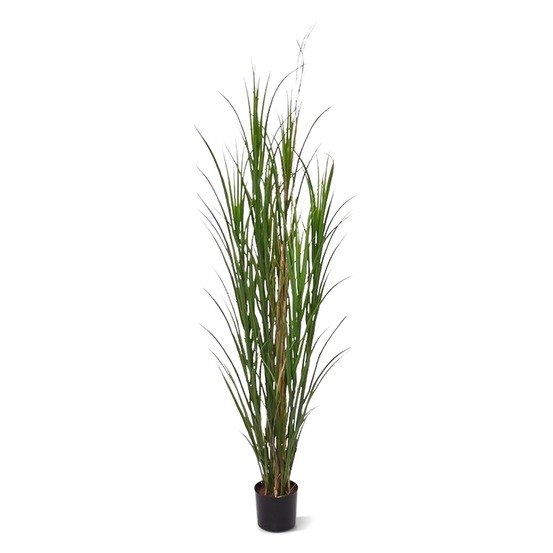 Herbe artificielle deluxe de 165 cm uv verte