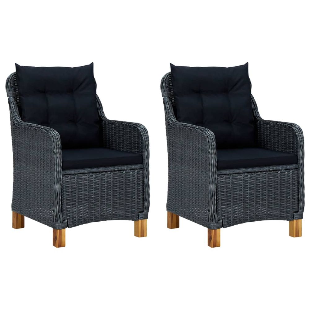 Chaises de jardin avec coussins 2 pcs