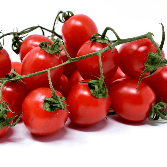 Plant de tomate supersweet 100 type cerise lot de 3 godets