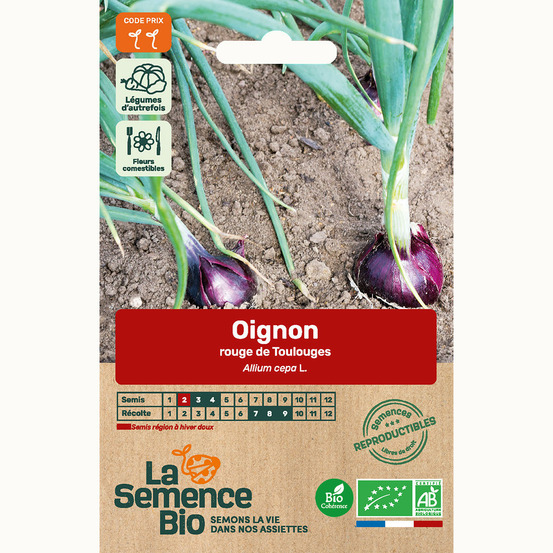 Oignon rouge de toulouges - graines bio