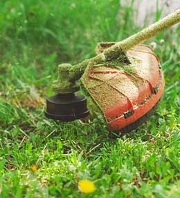 Tout ce qu'il y a à savoir sur la débroussailleuse