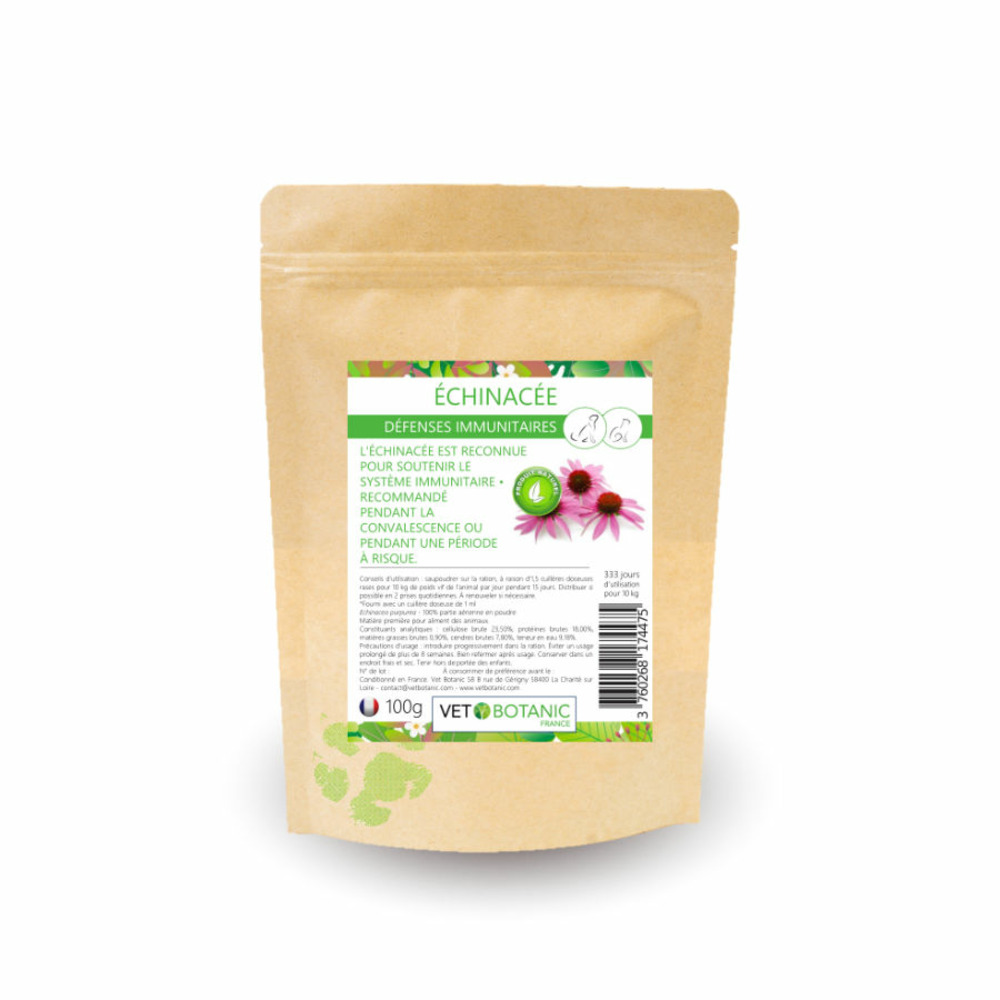 Échinacée plante pure en poudre - défenses immunitaires chiens et chats