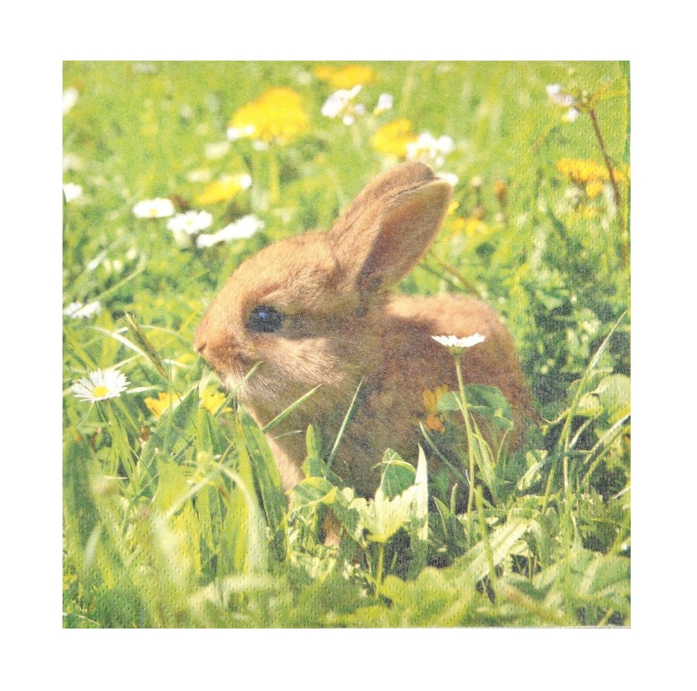 Lot de 20 serviettes papier lapin