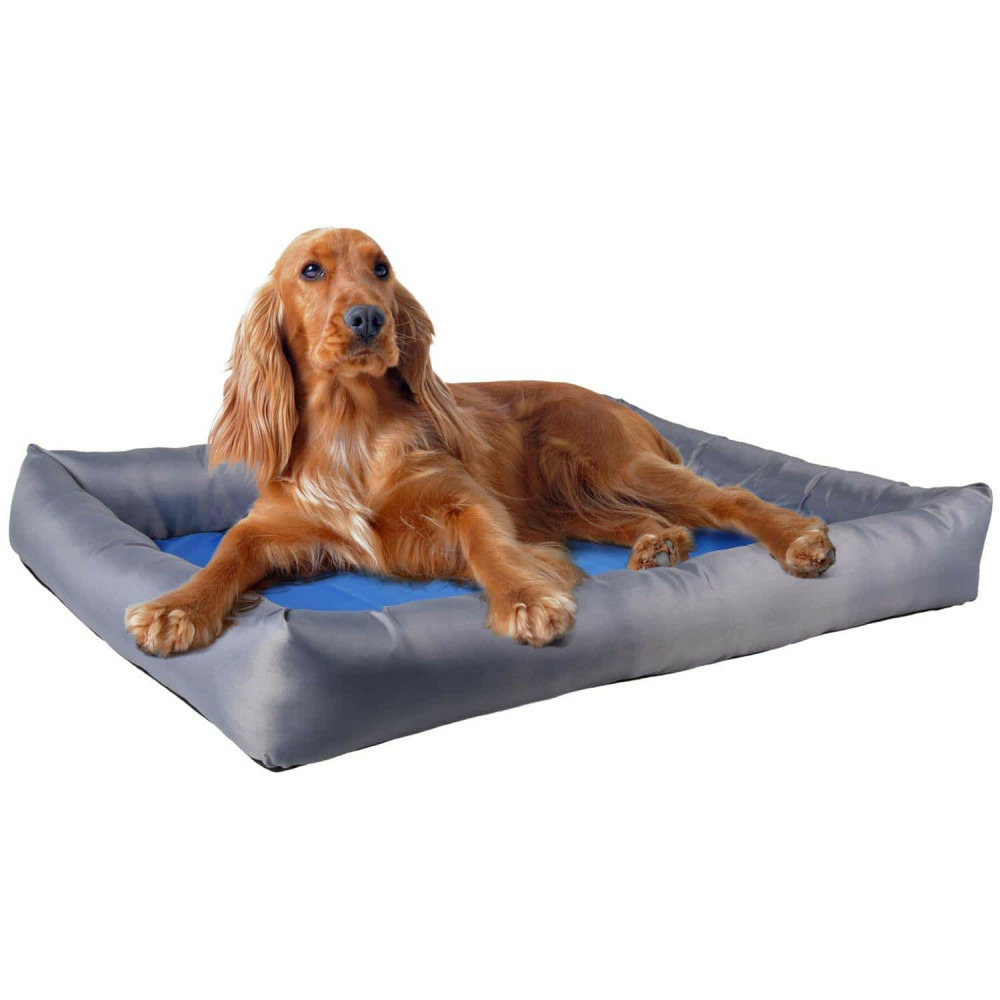 Coussin rafraîchissant fresk taille l, 70 x 50 x 8.5 cm bleu/gris pour chie