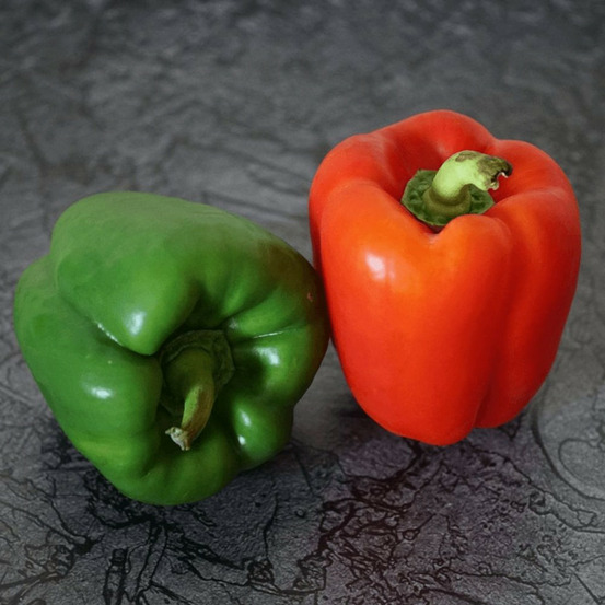 Plant de poivron lamuyo pot de 1l - greffée