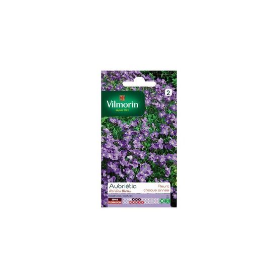 Sachets graines aubrietia roi des bleus