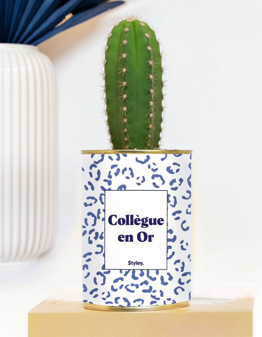 Plante drôle - collègue en or - plante grasse