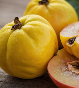 Gros plan sur des coings