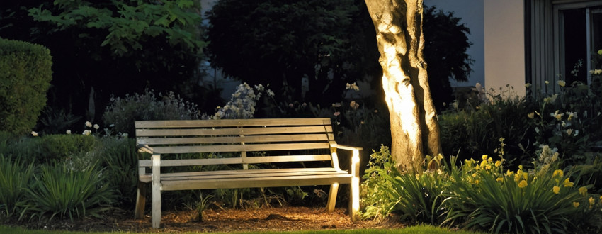 Arbre situé près d'un banc au couché du soleil avec un éclairage direct depuis le sol