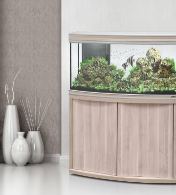 Comment déplacer un aquarium ?