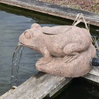 Kit fontaine solaire grenouille filtrante gros débit 2500 l/h maxi