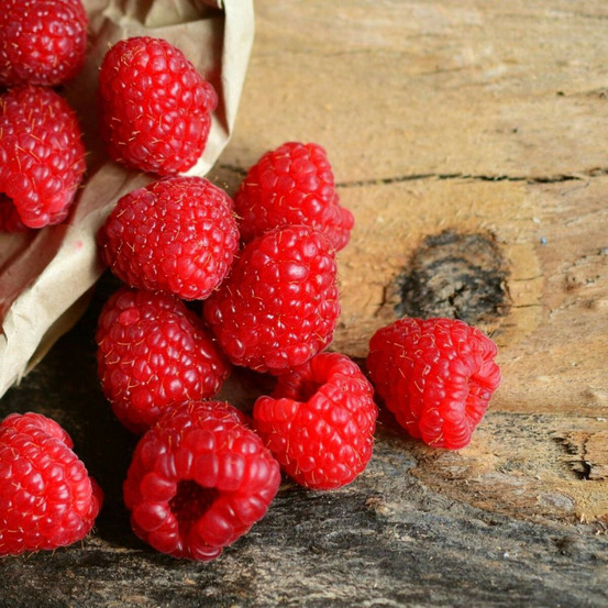 Framboisier rustica® 'yummi' pot de 3l - 30/60 cm