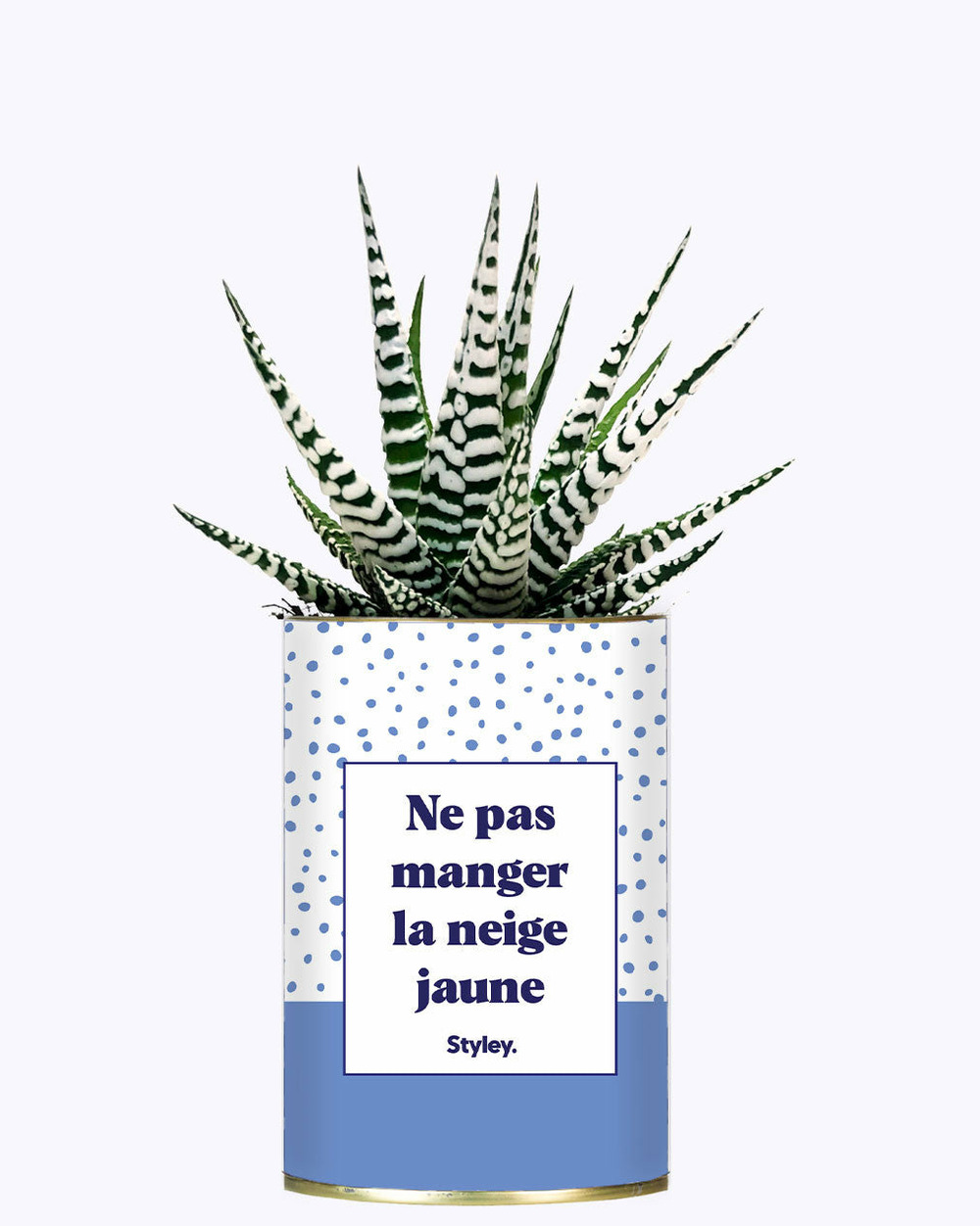 Idée cadeau - ne pas manger la neige jaune - cactus
