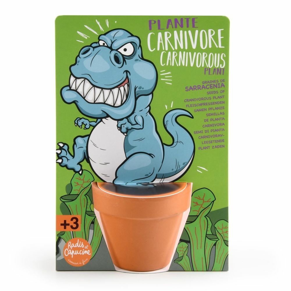 T-rex dinosaure et plantes carnivores à semer - carte avec pot