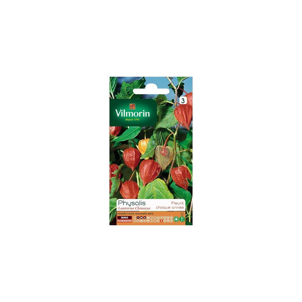 Sachet graines physalis lanterne chinoise