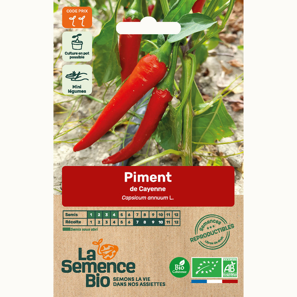 Piment de cayenne - graines bio