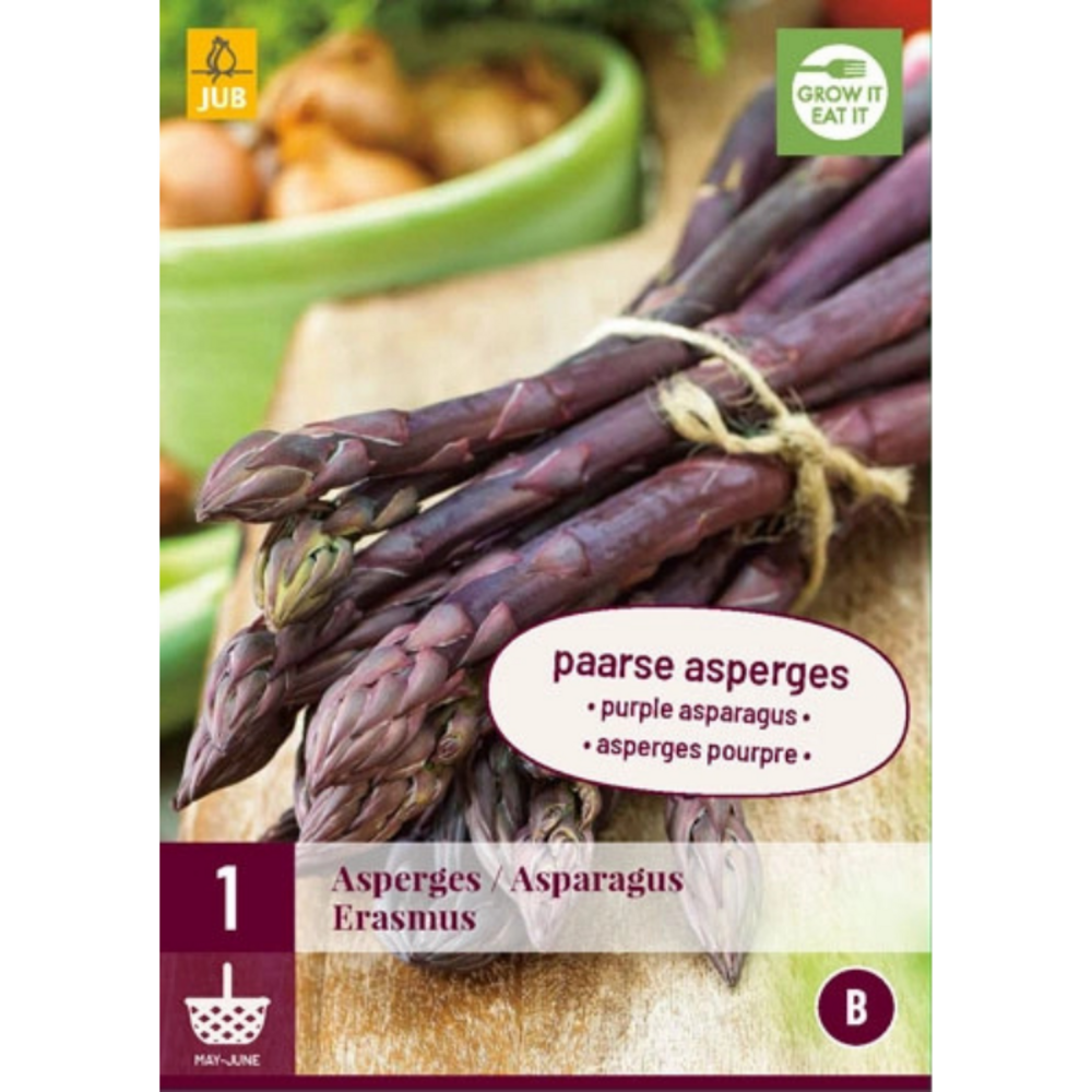 1 plant d'asperge erasmus