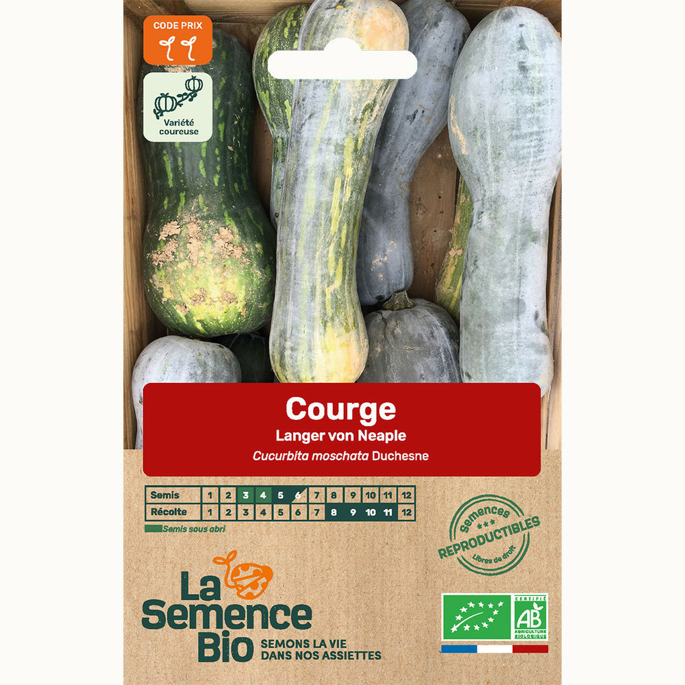Courge langer von neaple - graines bio