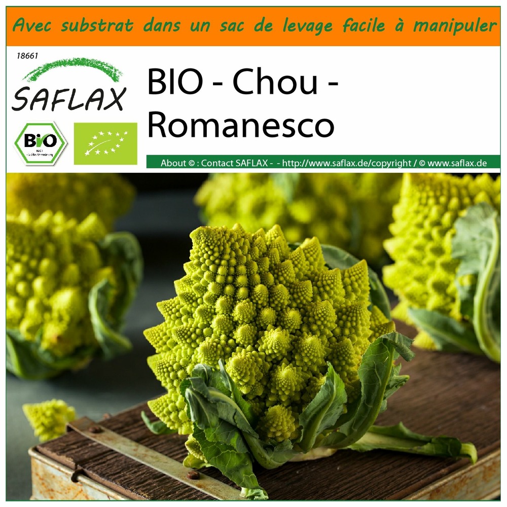 Garden in the bag - bio - chou - romanesco - 50 graines - brassica oleracea var. Botrytis