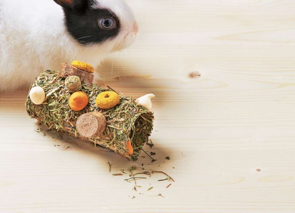 DIY friandise lapin : rouleau de printemps