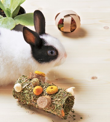 rouleau de printemps foin pour lapin