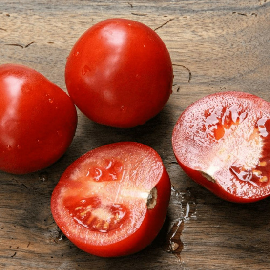 Plant de tomate montfavet 63-5 lot de 3 godets