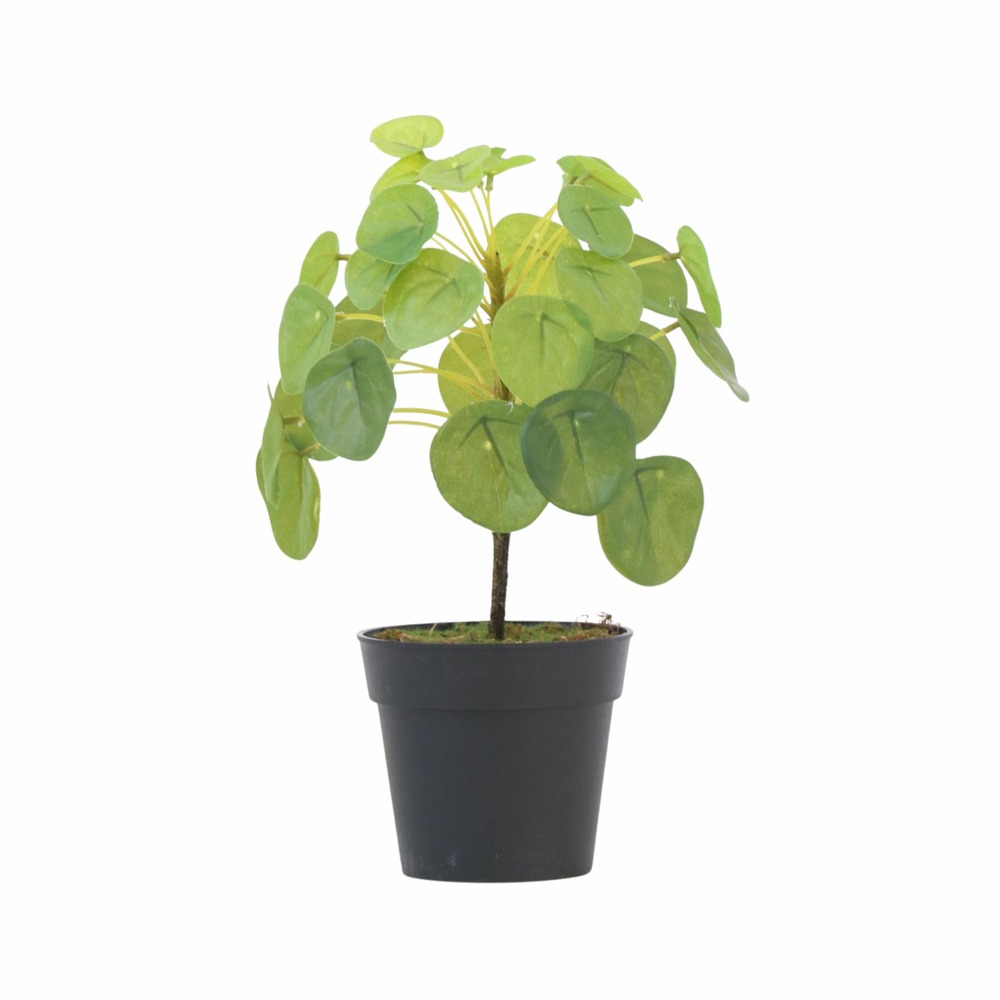 Pilea peperomioides artificiel - hauteur 30cm