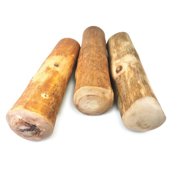 Pack découverte (3 bâtons) à mâcher en bois de cannelle de java, taille xl, jouet exclusif pour très grand chien (+22kg)