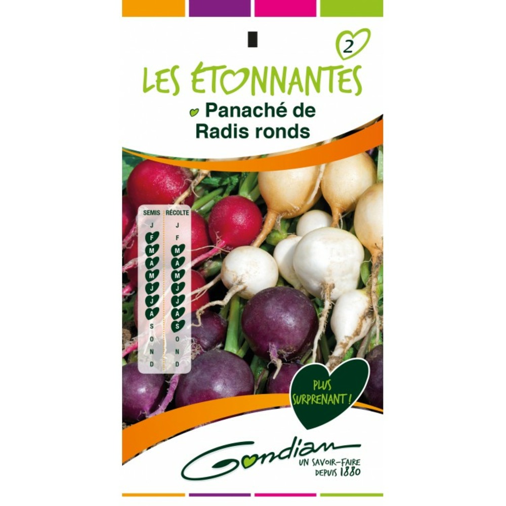 Les étonnantes panaché de radis ronds