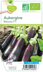 Aubergine baluroi f1  -plant ab  en  pot 0.5 l- plante du jardin