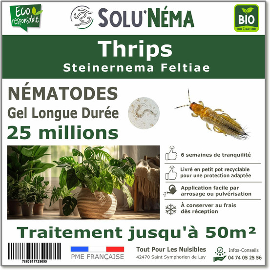 Solunéma - Thrips - Traitement à base de nématodes Steinernema Feltiae (SF) - 25 millions pour traiter jusqu'à 50 m²