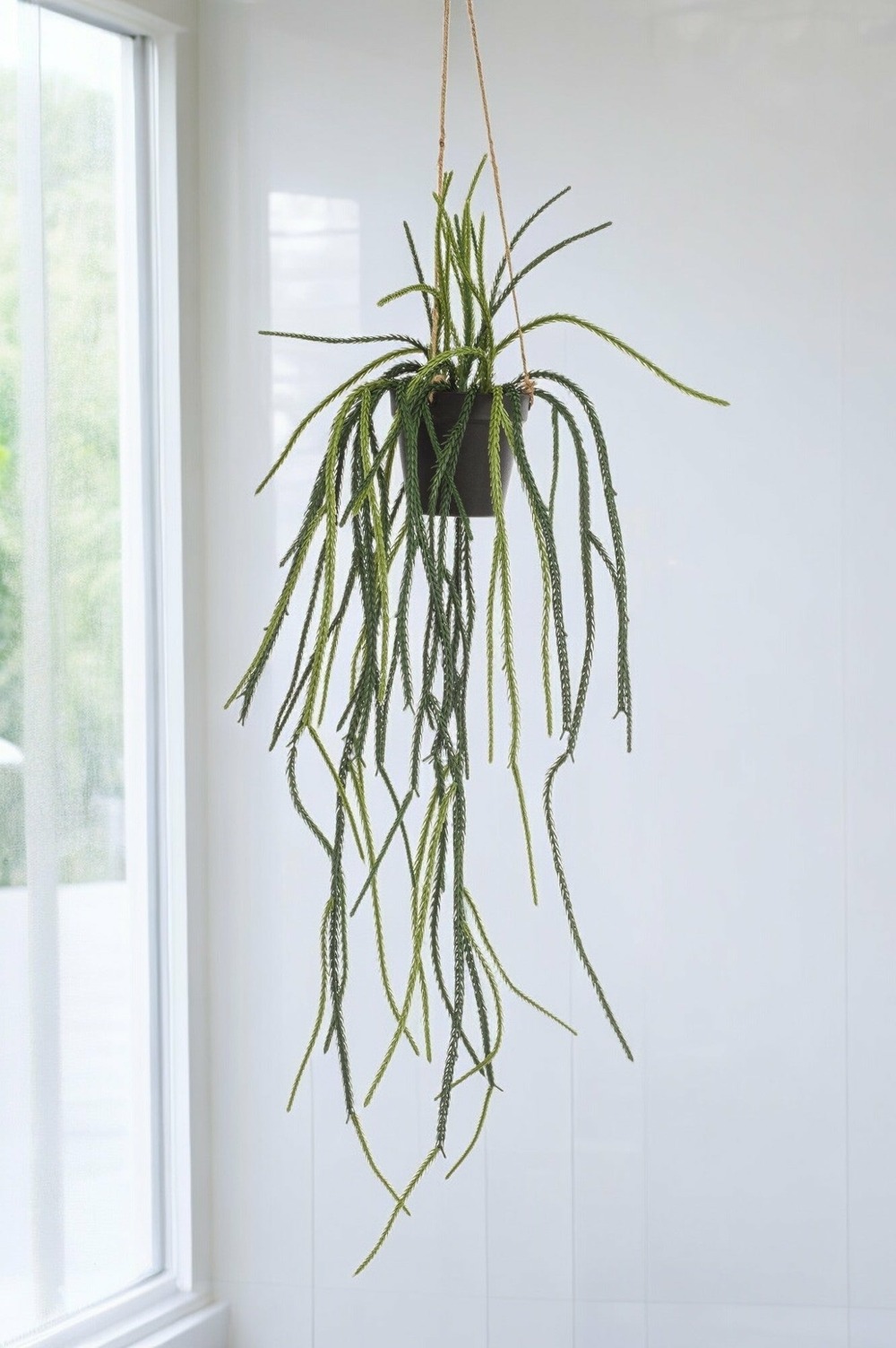 Rhypsalis coral cactus plante artificielle - h85cm, ø15cm