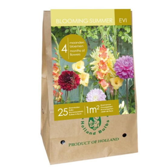 Mix bulbes fleurs été evi multicolore