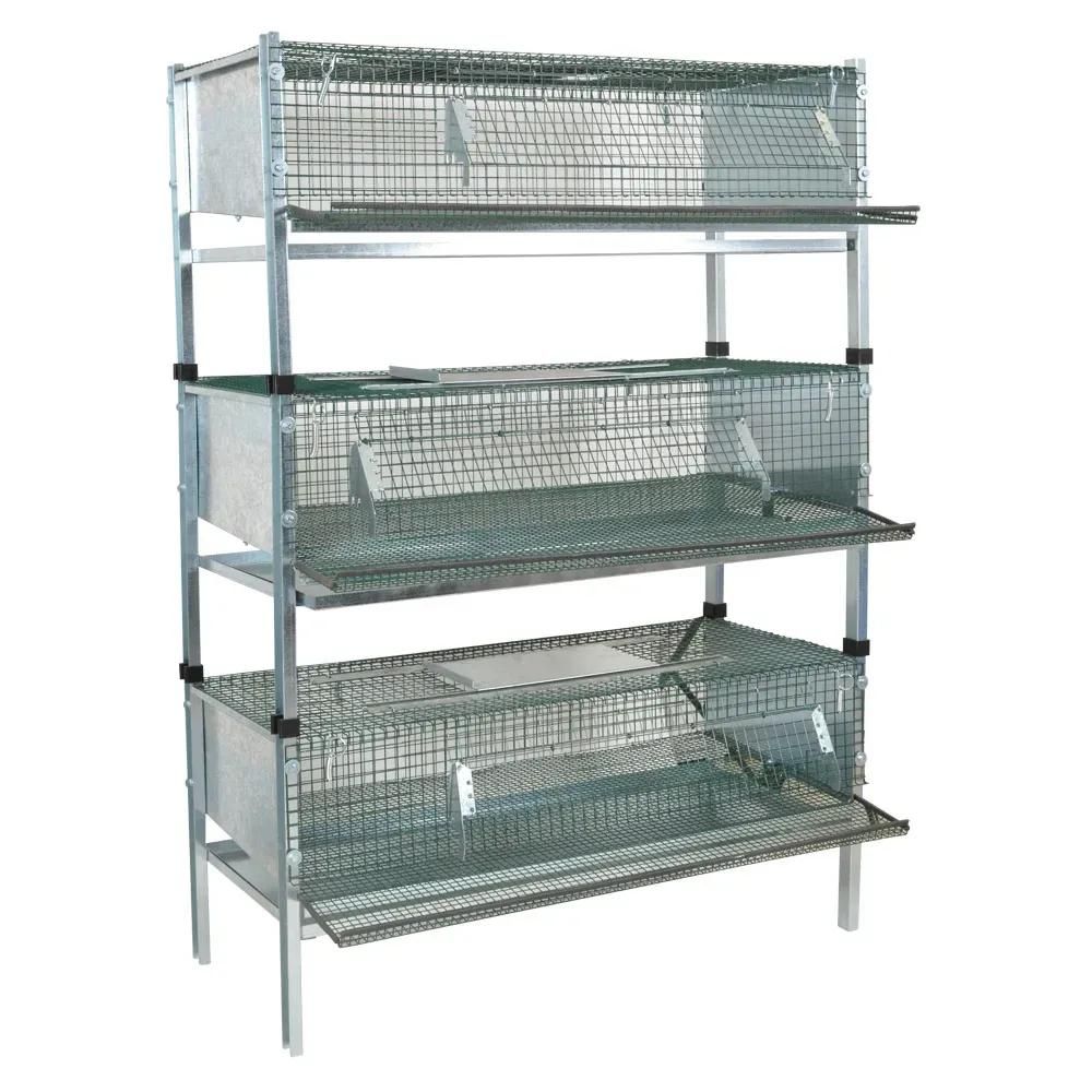 Kit 3 cages cailles pondeuses
