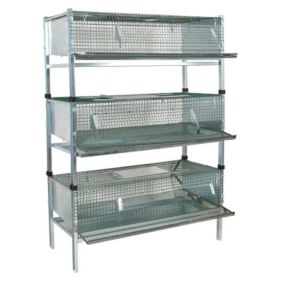 Kit 3 cages cailles pondeuses