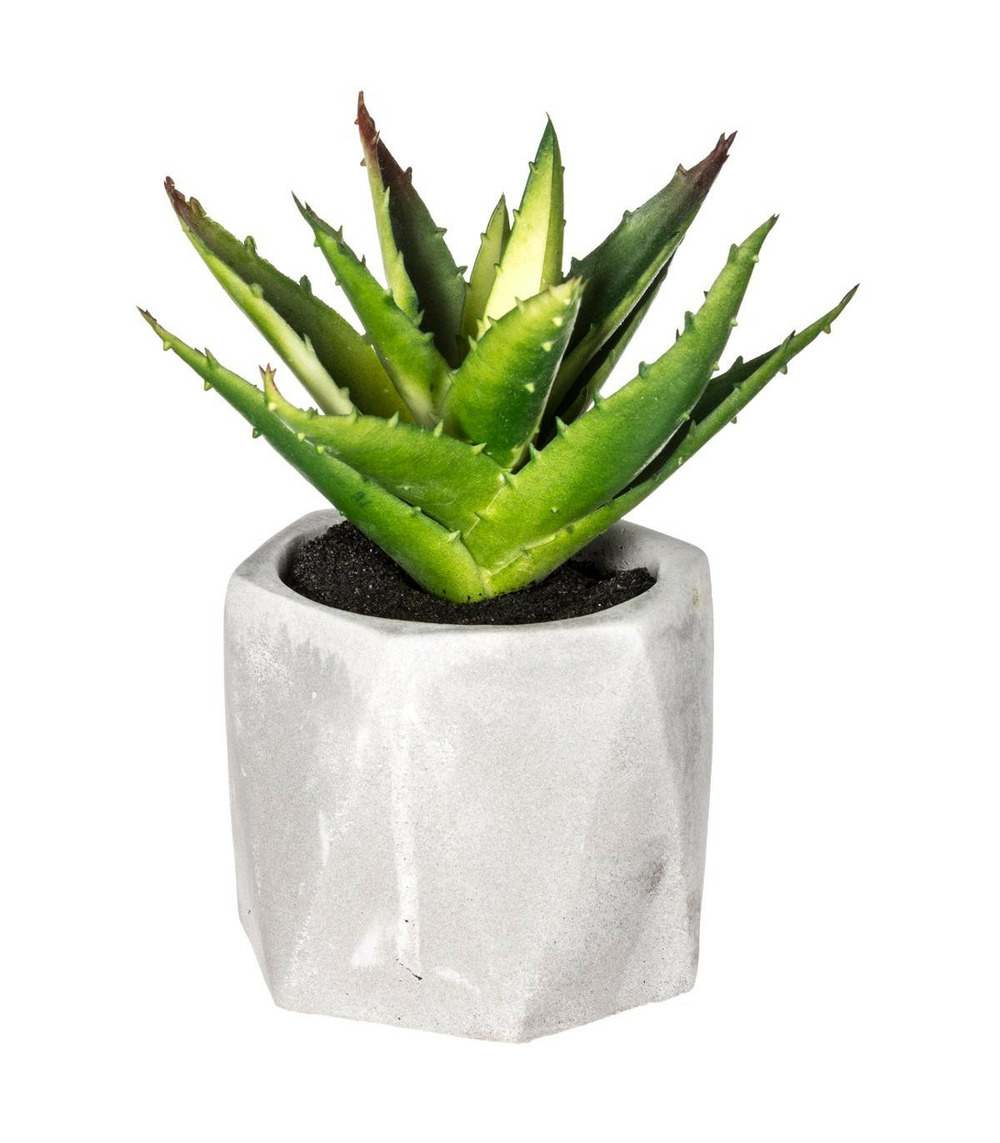 Plante grasse artificielle en pot h 14 cm