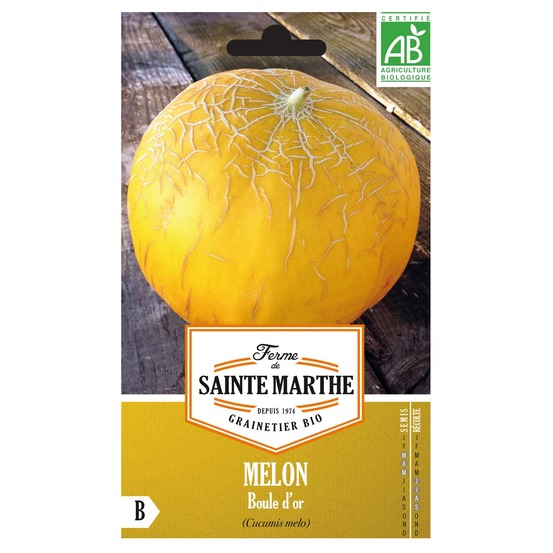 Melon 'boule d'or' le sachet de 15 graines environ