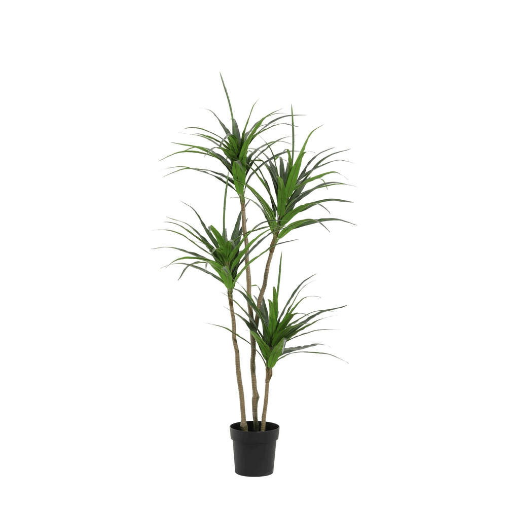 Dracaena - 165cm - ø22cm - plante artificielle