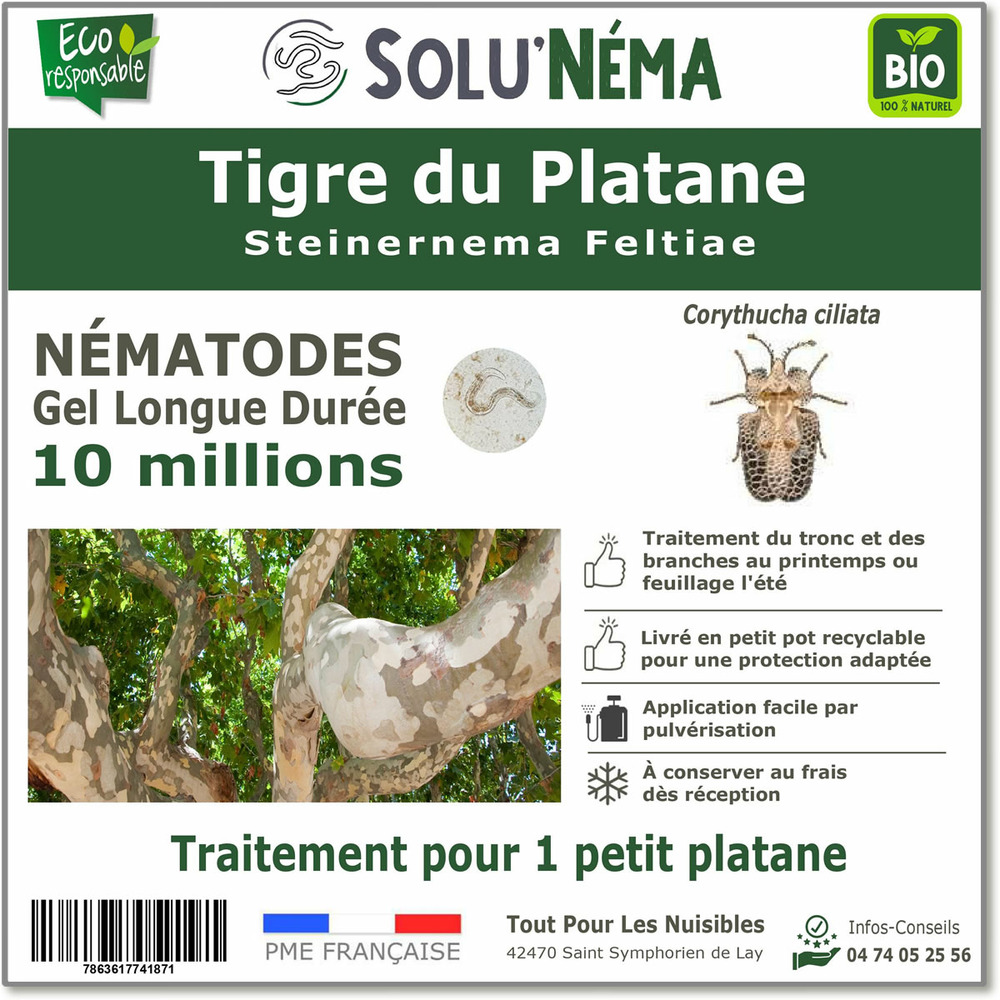 Solunéma - Nématodes contre le Tigre du Platane - Steinernema Feltiae (SF) -10 millions